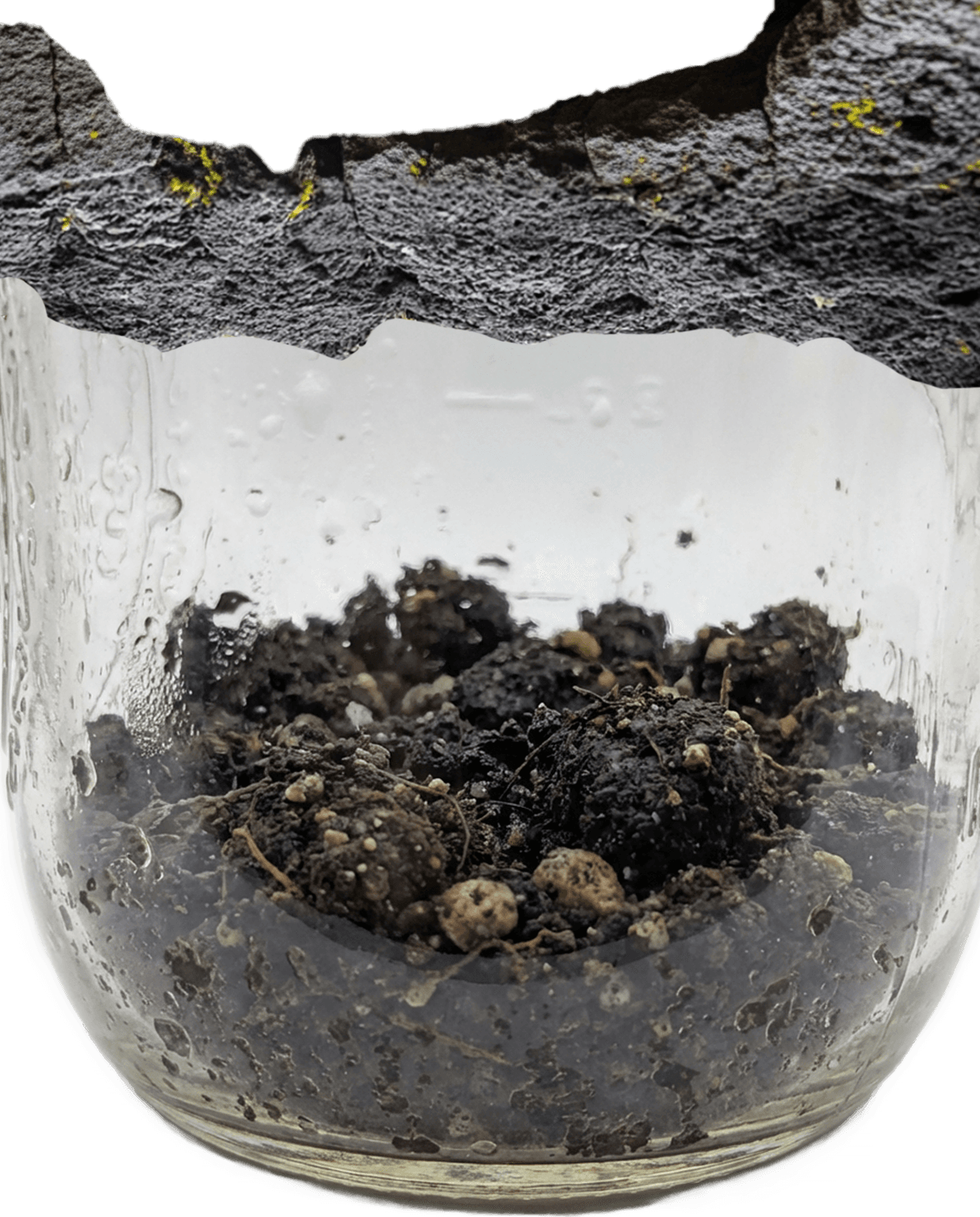 Jar Bottom